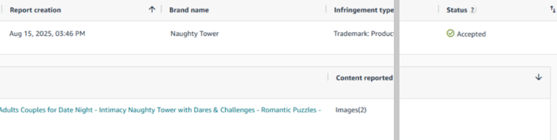Naughty Tower review draft - e6-takedown-accepted Amazon Brand Registry report created 15 August 2025 for brand Naughty Tower, trademark on product detail page, status Accepted