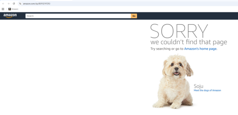Naughty Tower review draft - e7-listing-removed The copycat listing URL amazon.com/dp/B0F9ZYPZR3 showing Amazon page-not-found